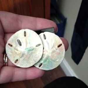 🌲Sand Dollar Earrings